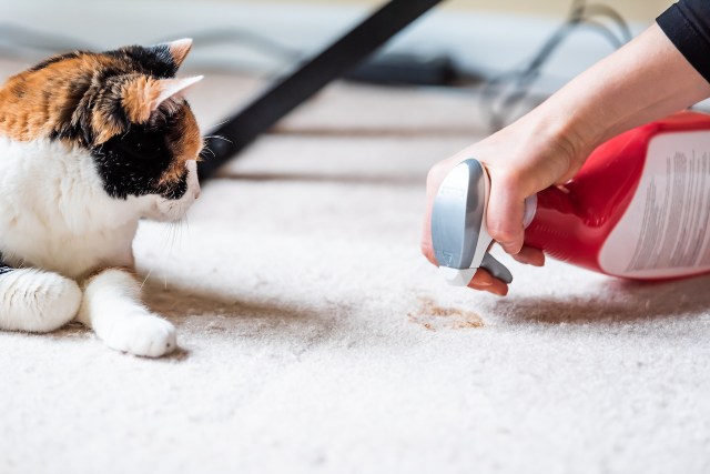 DIY Natural Cleaning Products: Essential Tips for Safe and Effective Formulas